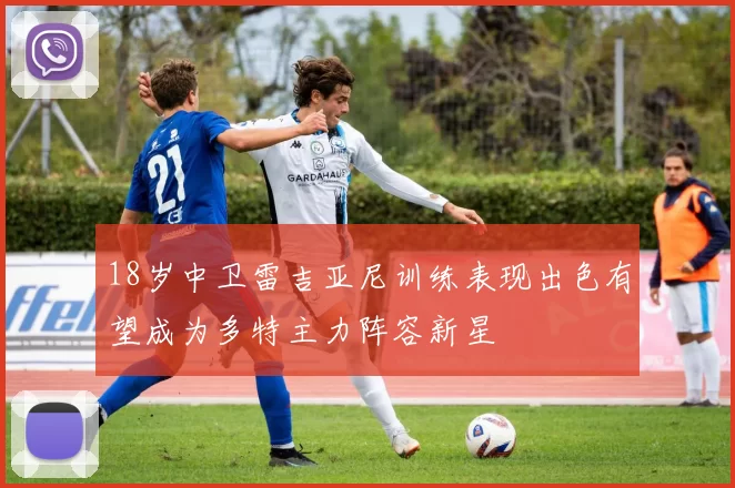 18岁中卫雷吉亚尼训练表现出色有望成为多特主力阵容新星